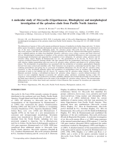 A molecular study of Mazzaella (Gigartinaceae, Rhodophyta) and morphological