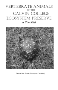 Vertebrate Animals Calvin College Ecosystem Preserve A Checklist