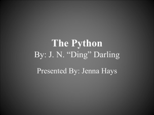 The Python By: J. N. “Ding” Darling Presented By: Jenna Hays