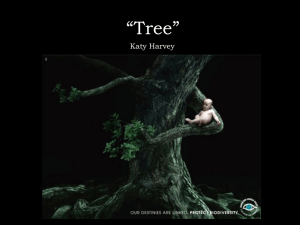 “Tree” Katy Harvey