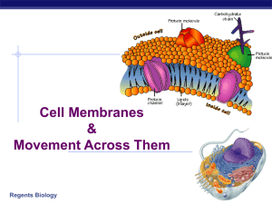 Cell Membranes &amp; Movement Across Them Regents Biology