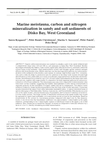 Marine meiofauna, carbon and nitrogen Disko Bay, West Greenland
