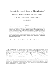 Dynamic Inputs and Resource (Mis)Allocation