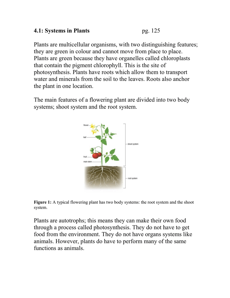 : Systems in Plants pg. 125