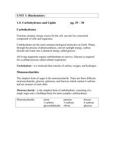 UNIT 1: Biochemistry  1.4: Carbohydrates and Lipids pg. 29 – 38