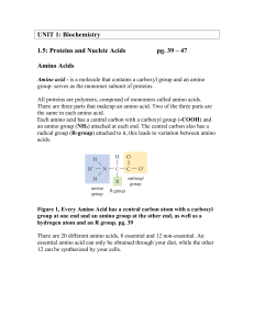 UNIT 1: Biochemistry  1.5: Proteins and Nucleic Acids pg. 39 – 47