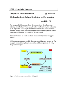 UNIT 2: Metabolic Processes  Chapter 4: Cellular Respiration pg. 166 - 209