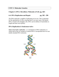 UNIT 3: Molecular Genetics  6.4: DNA Replication and Repair