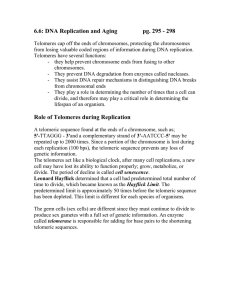 6.6: DNA Replication and Aging  pg. 295 - 298