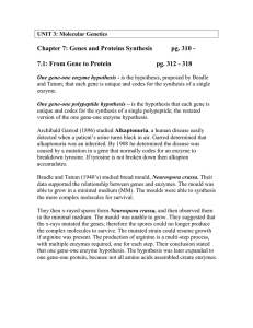 Chapter 7: Genes and Proteins Synthesis pg. 310 -