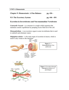 Chapter 9: Homeostasis: A Fine Balance pg. 426 -