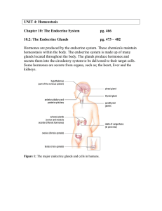 UNIT 4: Homeostasis  Chapter 10: The Endocrine System pg. 466
