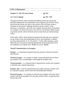 UNIT 4: Homeostasis  Chapter 11: The Nervous System pg. 514