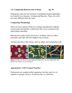 2.2: Comparing Bacteria and Archaea  pg. 59