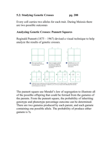 5.2: Studying Genetic Crosses  pg. 208 Analyzing Genetic Crosses: Punnett Squares