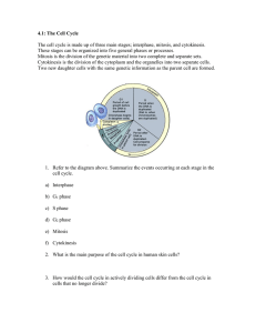 4.1: The Cell Cycle
