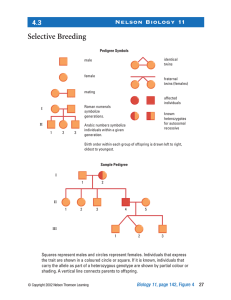 Selective Breeding Nelson Biology 11 4.3