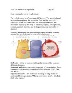 10.1 The function of Digestion  pg. 402 Macromolecules and Living Systems