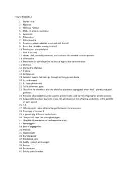 doc quiz configuration electron ELECTRON OCTET CONFIGURATION RULE & WORKSHEET