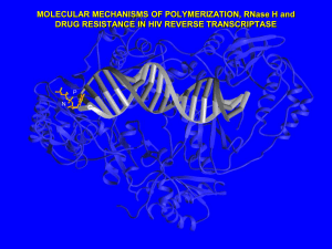 MOLECULAR MECHANISMS OF POLYMERIZATION, RNase H and P N