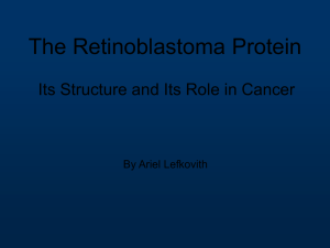 The Retinoblastoma Protein Its Structure and Its Role in Cancer