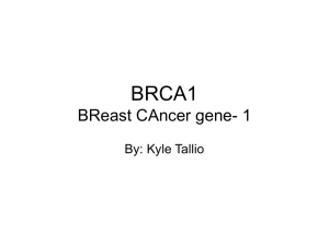 BRCA1 BReast CAncer gene- 1 By: Kyle Tallio