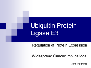 Ubiquitin Protein Ligase E3 Regulation of Protein Expression Widespread Cancer Implications