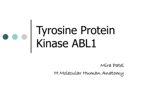Tyrosine Protein Kinase ABL1 Mira Patel H Molecular Human Anatomy