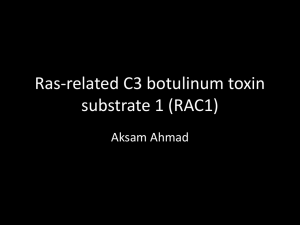 Ras-related C3 botulinum toxin substrate 1 (RAC1) Aksam Ahmad