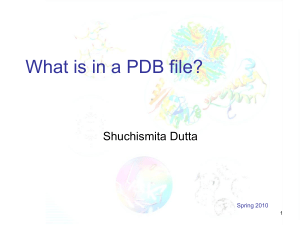 What is in a PDB file? Shuchismita Dutta Spring 2010 1