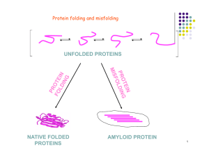 UNFOLDED PROTEINS NATIVE FOLDED AMYLOID PROTEIN PROTEINS