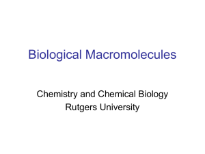 Biological Macromolecules Chemistry and Chemical Biology Rutgers University