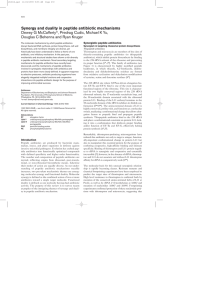 Synergistic peptide antibiotics