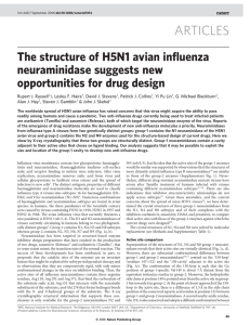 The structure of H5N1 avian influenza neuraminidase suggests new