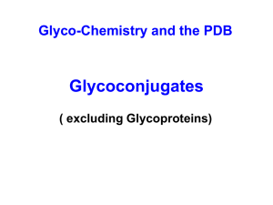 Glycoconjugates Glyco-Chemistry and the PDB ( excluding Glycoproteins)