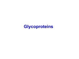 Glycoproteins