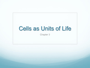 Cells as Units of Life Chapter 3