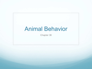 Animal Behavior Chapter 36