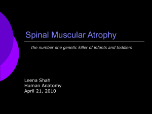 Spinal Muscular Atrophy Leena Shah Human Anatomy April 21, 2010