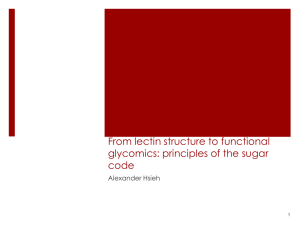 From lectin structure to functional glycomics: principles of the sugar code Alexander Hsieh