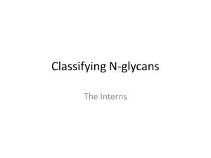 Classifying N-glycans The Interns