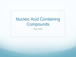 Nucleic Acid Containing Compounds Alex Hsieh