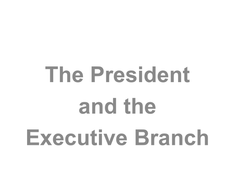 the-president-and-the-executive-branch