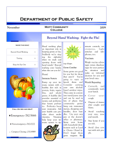 Department of Public Safety Beyond Hand Washing:  Fight the Flu! November 2009