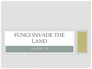 FUNGI INVADE THE LAND