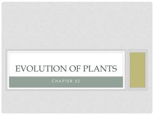 EVOLUTION OF PLANTS