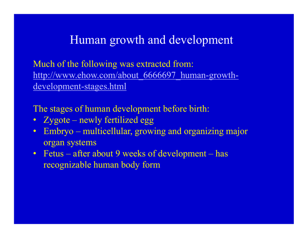 main stages of human development