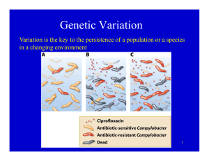 Genetic Variation in a changing environment g g