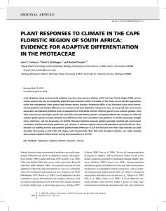 PLANT RESPONSES TO CLIMATE IN THE CAPE EVIDENCE FOR ADAPTIVE DIFFERENTIATION