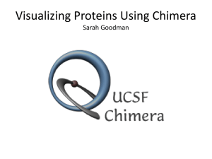 Visualizing Proteins Using Chimera Sarah Goodman